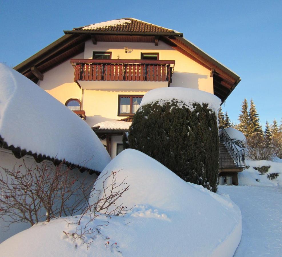 Ferienwohnung Haus Finkbeiner Kniebis Dış mekan fotoğraf