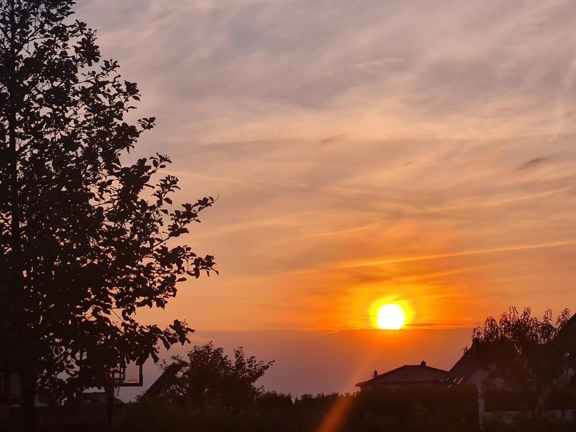Ferienwohnung Haus Finkbeiner Kniebis Dış mekan fotoğraf